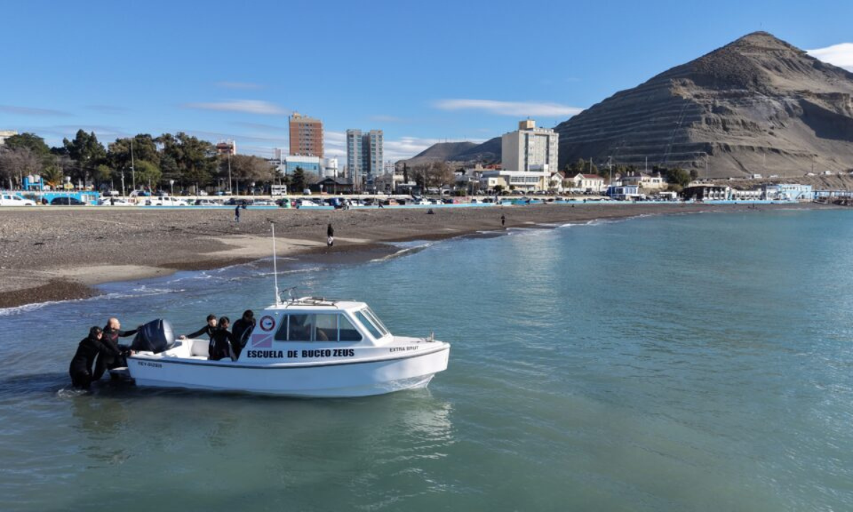 Comodoro Rivadavia habilitó excursiones de snorkel y buceo con lobos marinos en el Golfo San Jorge