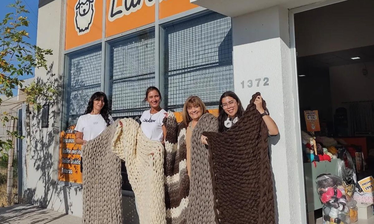 Lanasur realizará este sábado un taller de mantas XL con vellón merino patagónico en Trelew