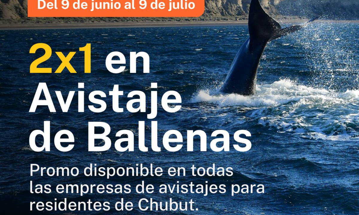 Chubut se prepara para una nueva Temporada de Ballenas