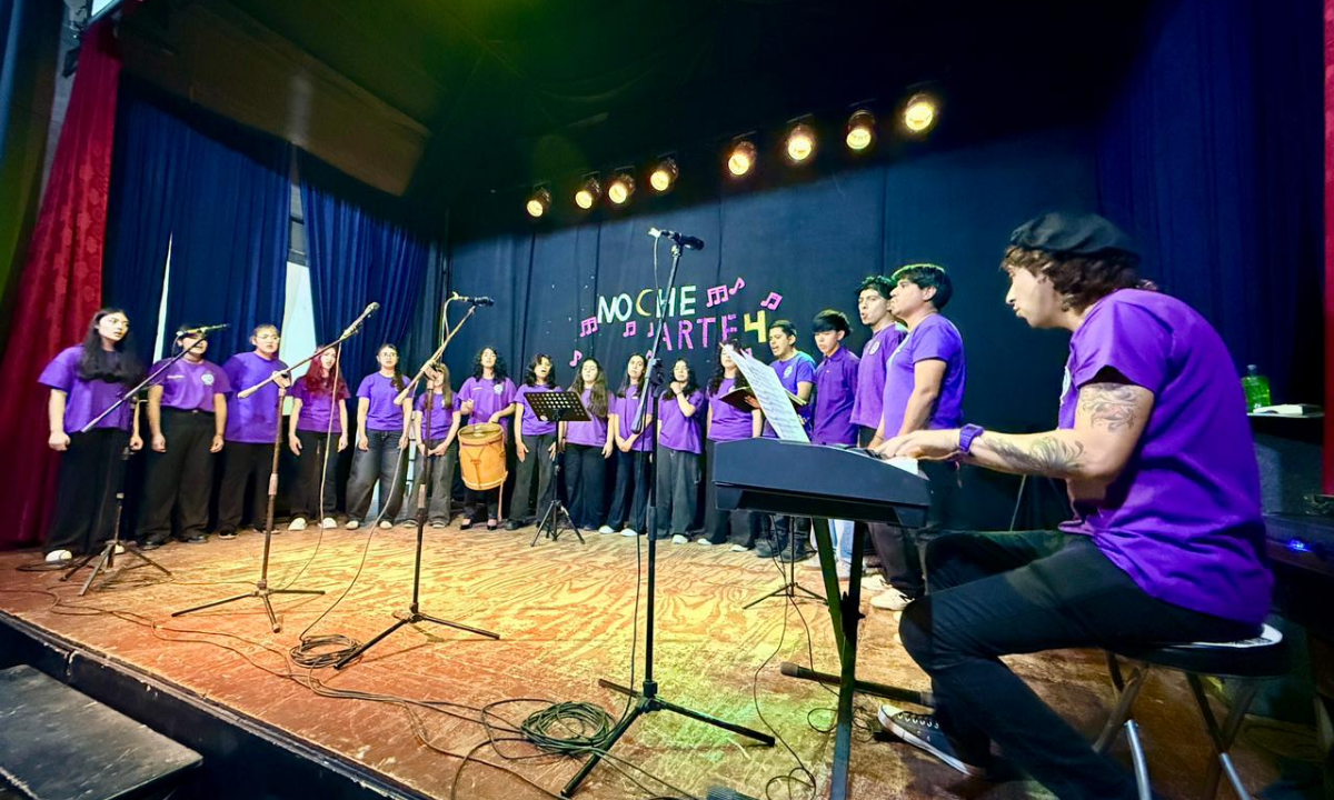 Música, danza y nuevas voces brillaron en una nueva edición de NocheArte