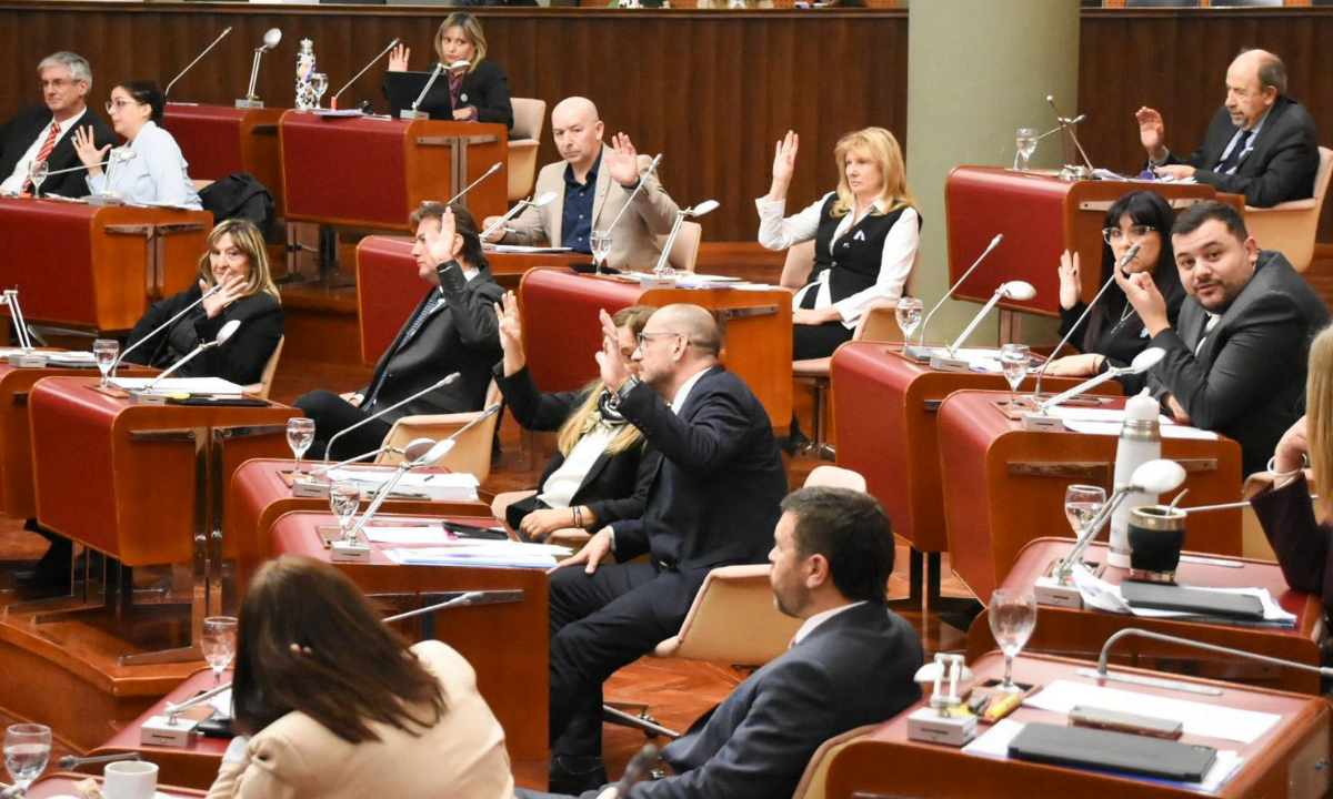 Legislatura aprobó la adhesión a la Ley Antimafias para fortalecer la lucha contra el crimen organizado en Chubut