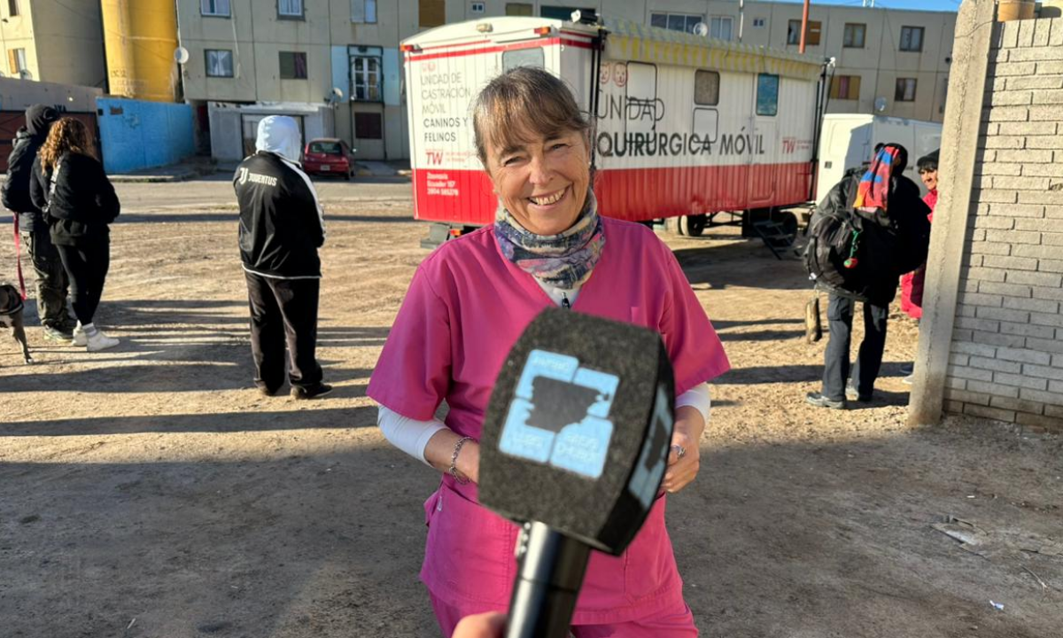 El quirófano móvil de Zoonosis continúa su recorrido por Trelew y llegará la próxima semana al barrio Don Bosco