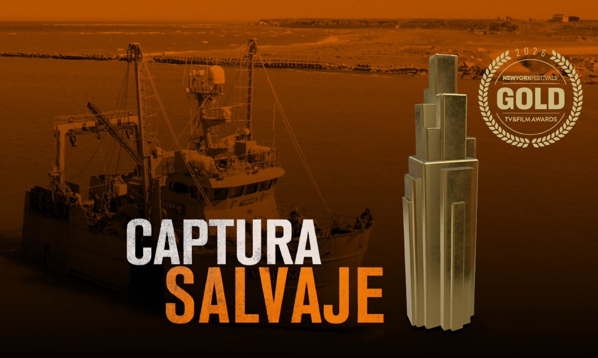 “Captura Salvaje” ganó en Nueva York y puso a Puerto Rawson en la escena internacional