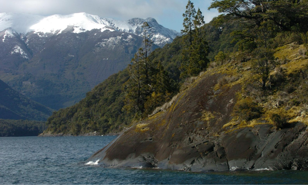 Provincia abrió la convocatoria para presentación de proyectos que requieran financiamiento de la Ley de Bosques