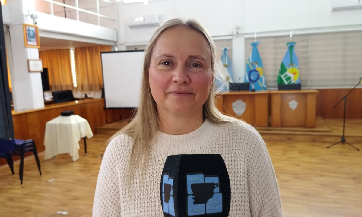 El Concejo Deliberante analiza la adjudicación del transporte urbano en Trelew