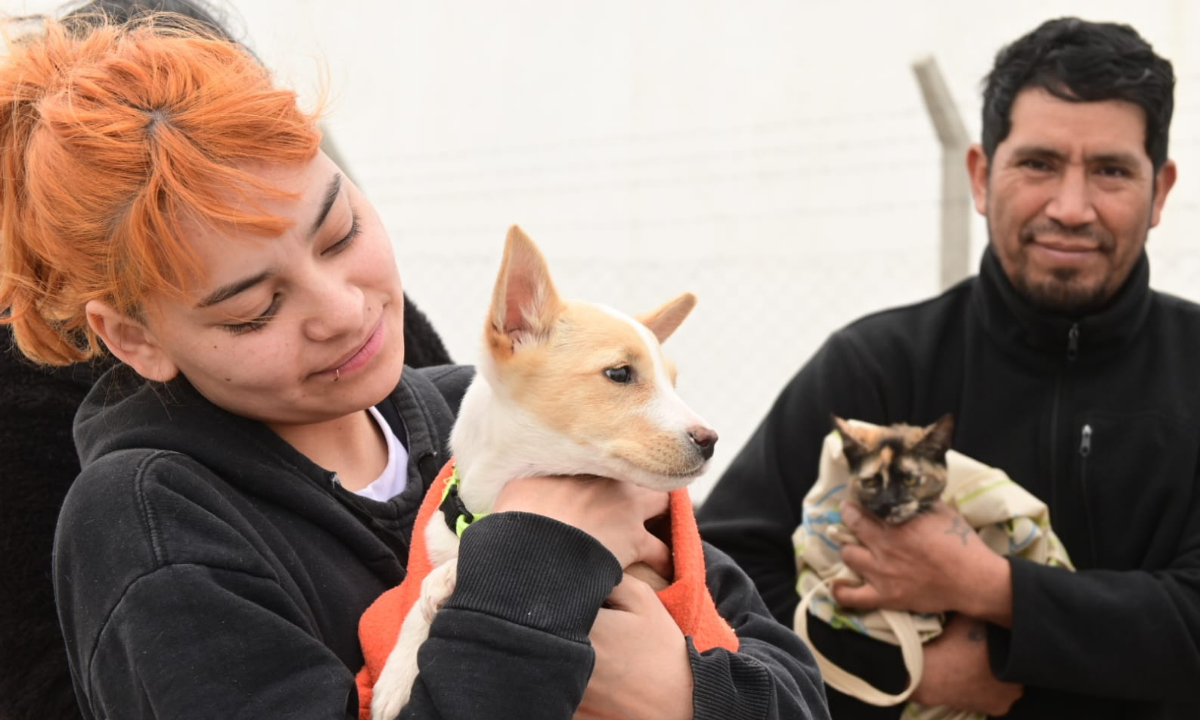 Las campañas de cuidado responsable de animales llegan a tu barrio