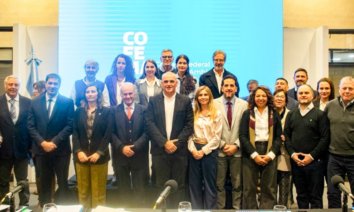 Chubut fue elegida para presidir el Consejo Federal de Medio Ambiente