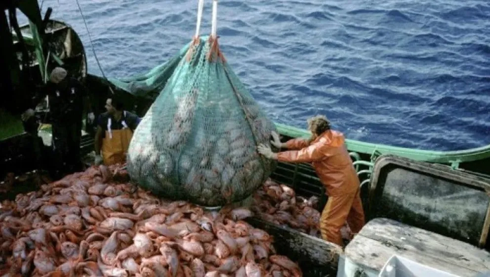 Advierten que la pesca ilegal frente a las costas argentinas extrae hasta 3 millones de toneladas de recursos