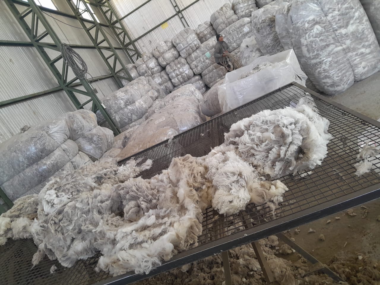 En Gastre la Cooperativa Lonco Trapial sigue apostando a la ganadería