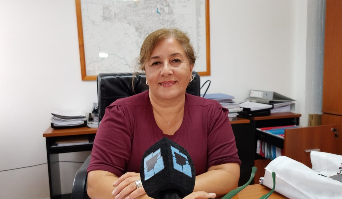 Trelew: postergaron la sesión del Concejo Deliberante para analizar la pre adjudicación del transporte urbano