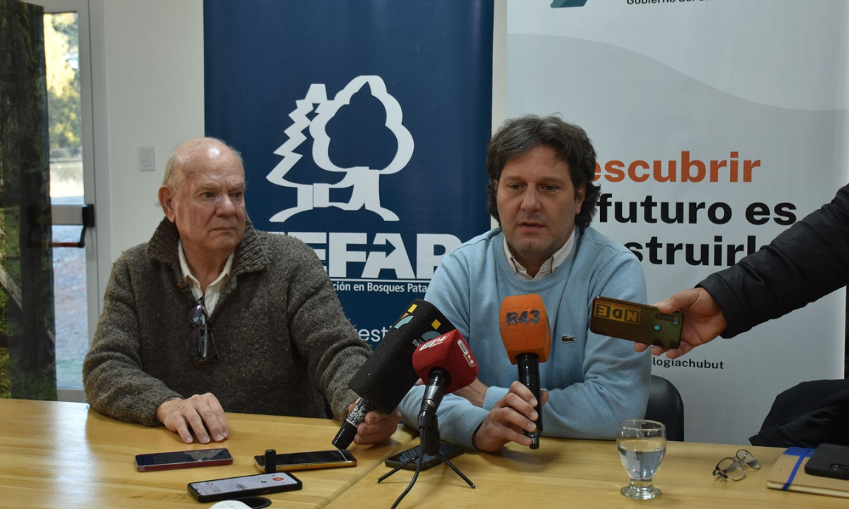 El CIEFAP y la FAO avanzan en la gestión sostenible de los bosques nativos en la Patagonia