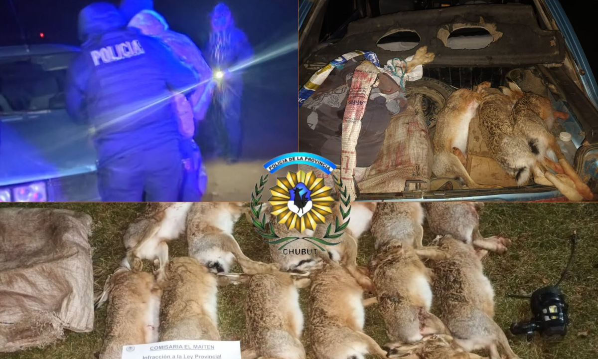 Demoraron a tres personas por caza ilegal tras un operativo en un establecimiento rural de El Maitén