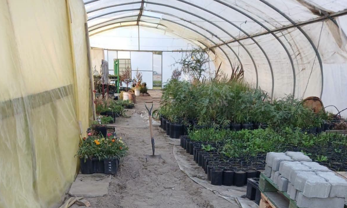 Trabajos de renovación y ampliación en el Vivero Municipal de Rawson