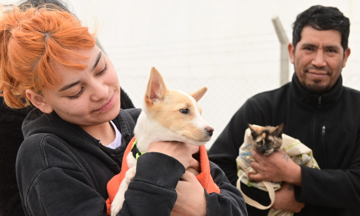 Puerto Madryn continúa con las campañas gratuitas de vacunación y castración para perros y gatos