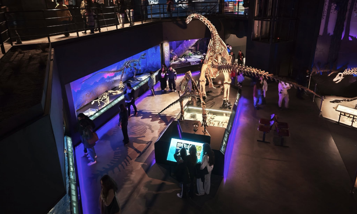 El MEF abre sus puertas con una propuesta gratuita para conocer el trabajo detrás del museo