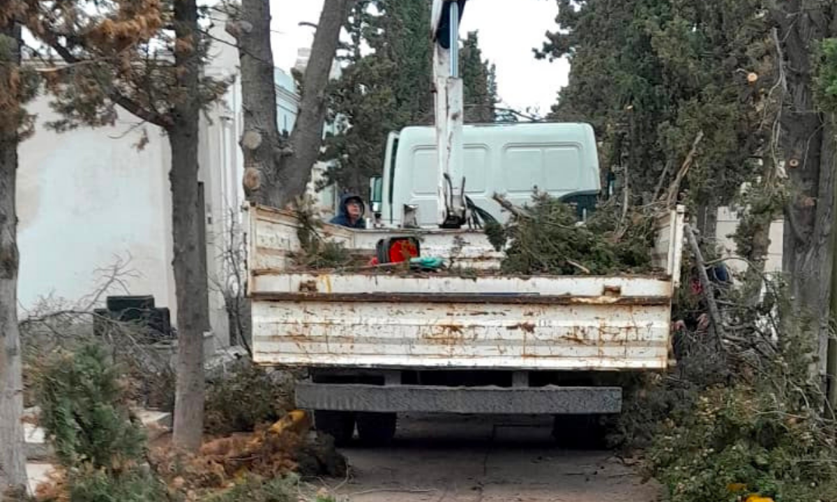 El Municipio de Trelew cambió las luminarias y realizó poda en el cementerio