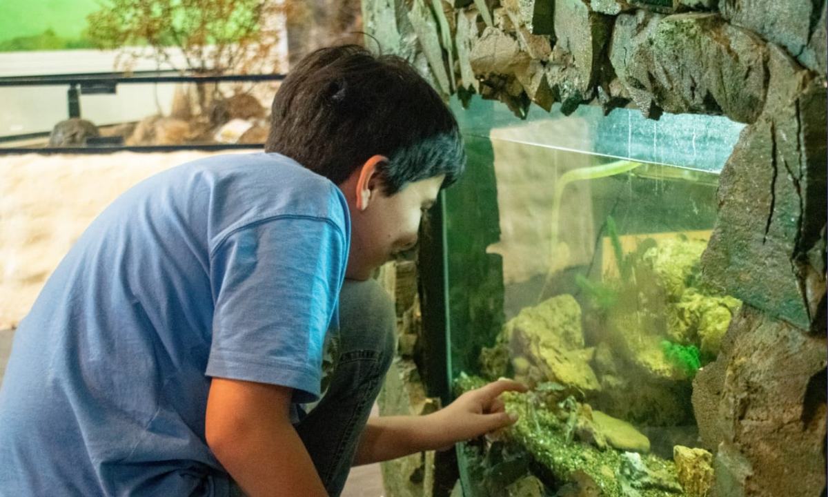 Aquavida invita a descubrir la biodiversidad del Mar Patagónico durante las vacaciones de invierno en Playa Unión