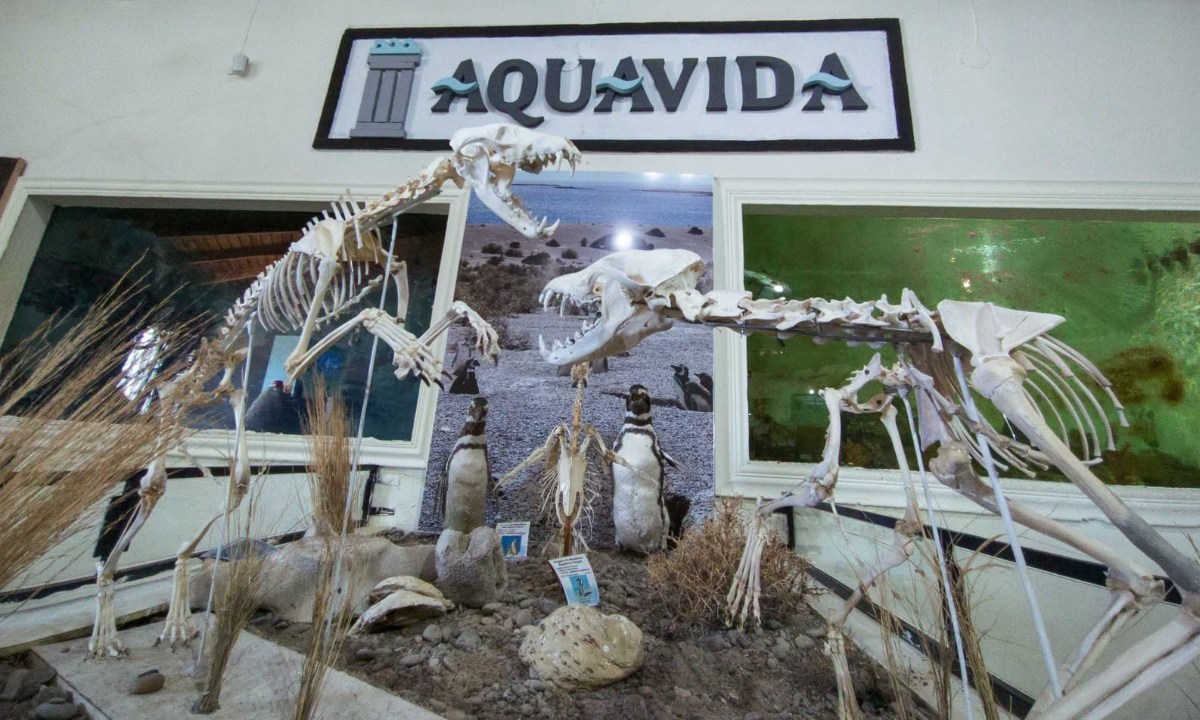 Aquavida ofrece entrada gratuita para niños y suma actividades recreativas en vacaciones de invierno