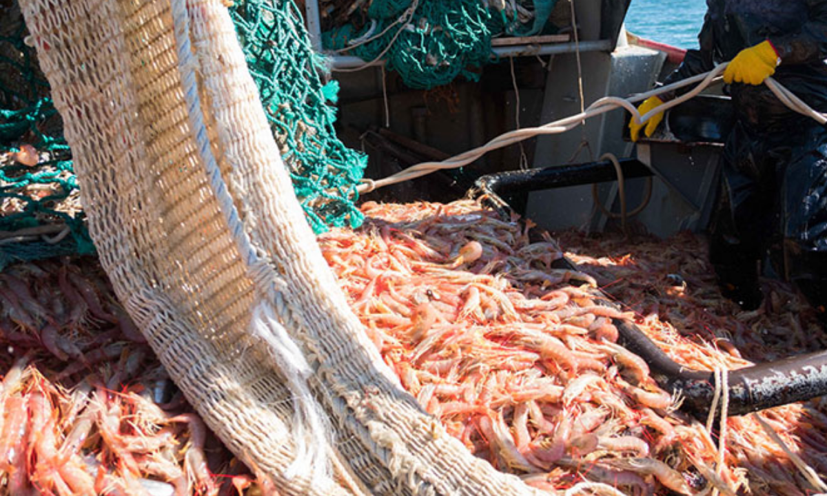 Cereseto advirtió que la pesca atraviesa una crisis y reclamó medidas al Gobierno nacional
