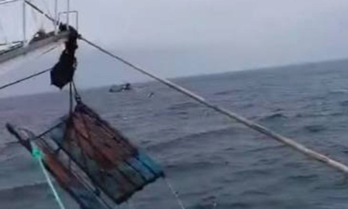 Marinero cayó al mar y fue hallado sin vida