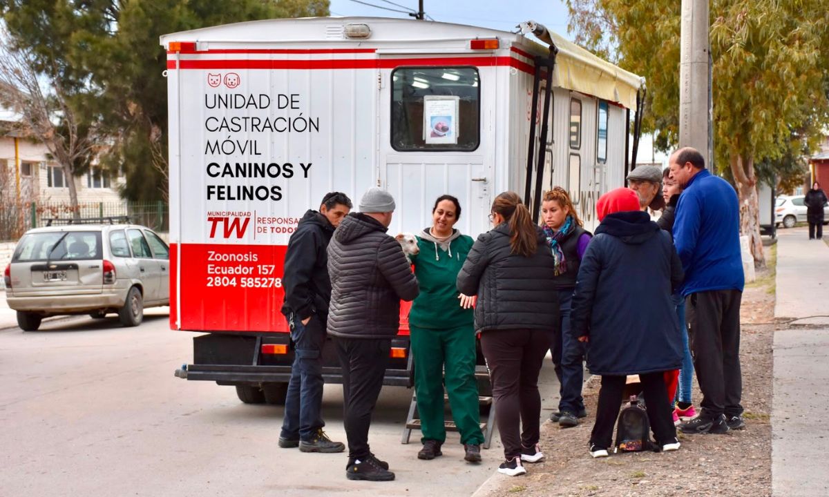 El Municipio de Trelew continúa las castraciones gratuitas en los barrios para promover el bienestar animal