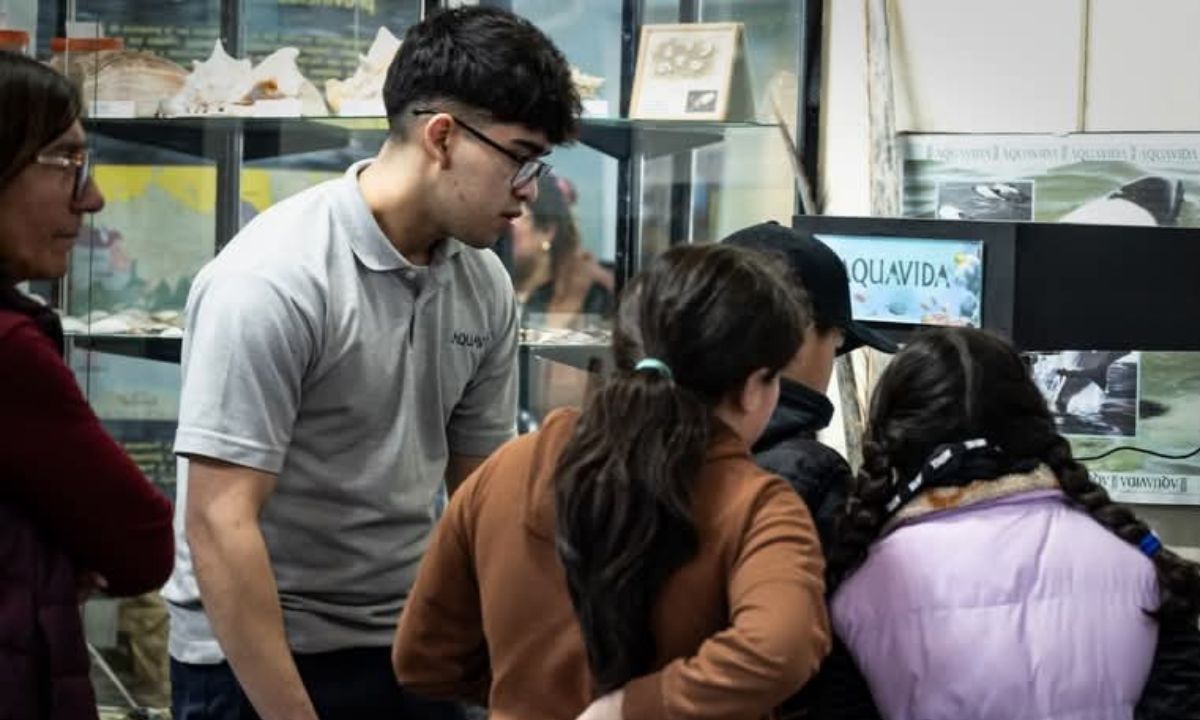 ‘Olas de diversión’: Aquavida celebra el Día de la Niñez con juegos, premios y una acción solidaria en Playa Unión