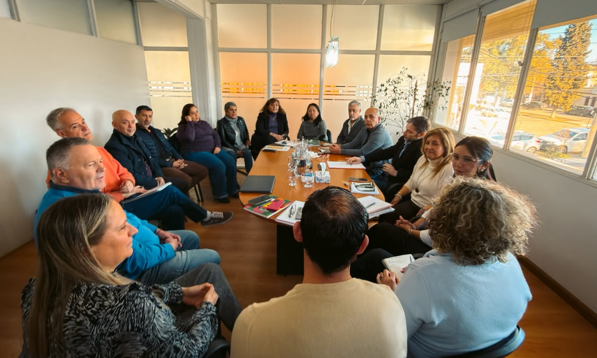 La Cooperativa Eléctrica presentó ante el Concejo Deliberante el estado de situación y sus principales líneas de gestión