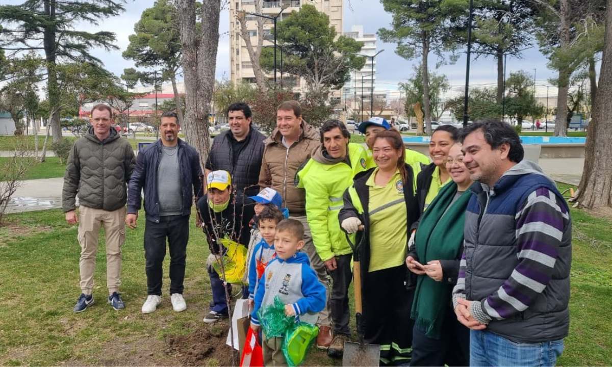 Rawson apuesta al recambio de especies y suma nuevos árboles para mejorar los espacios públicos