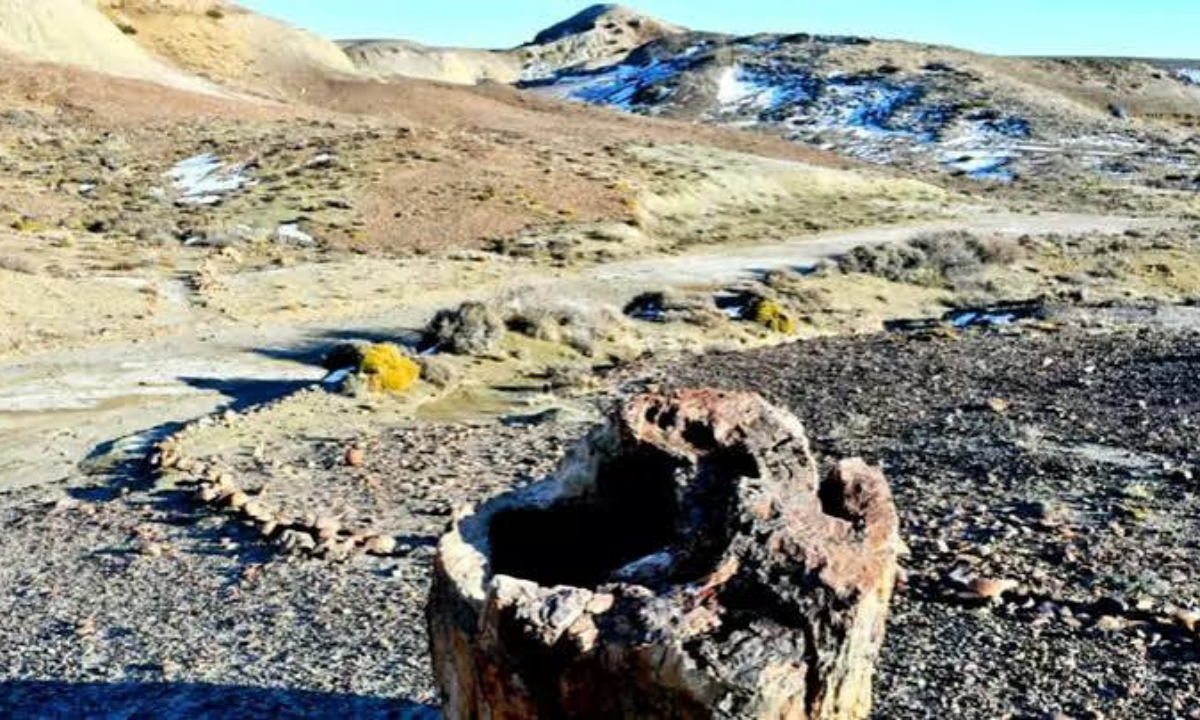 Sarmiento busca potenciar el Bosque Petrificado con nuevos senderos y astroturismo