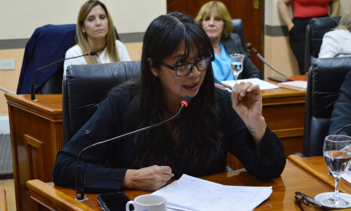 Presentan un proyecto para identificar vehículos conducidos por personas con hipoacusia