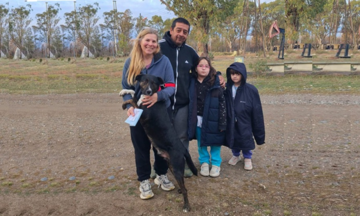Rawson refuerza la adopción responsable y avanza en la etapa final del refugio transitorio municipal