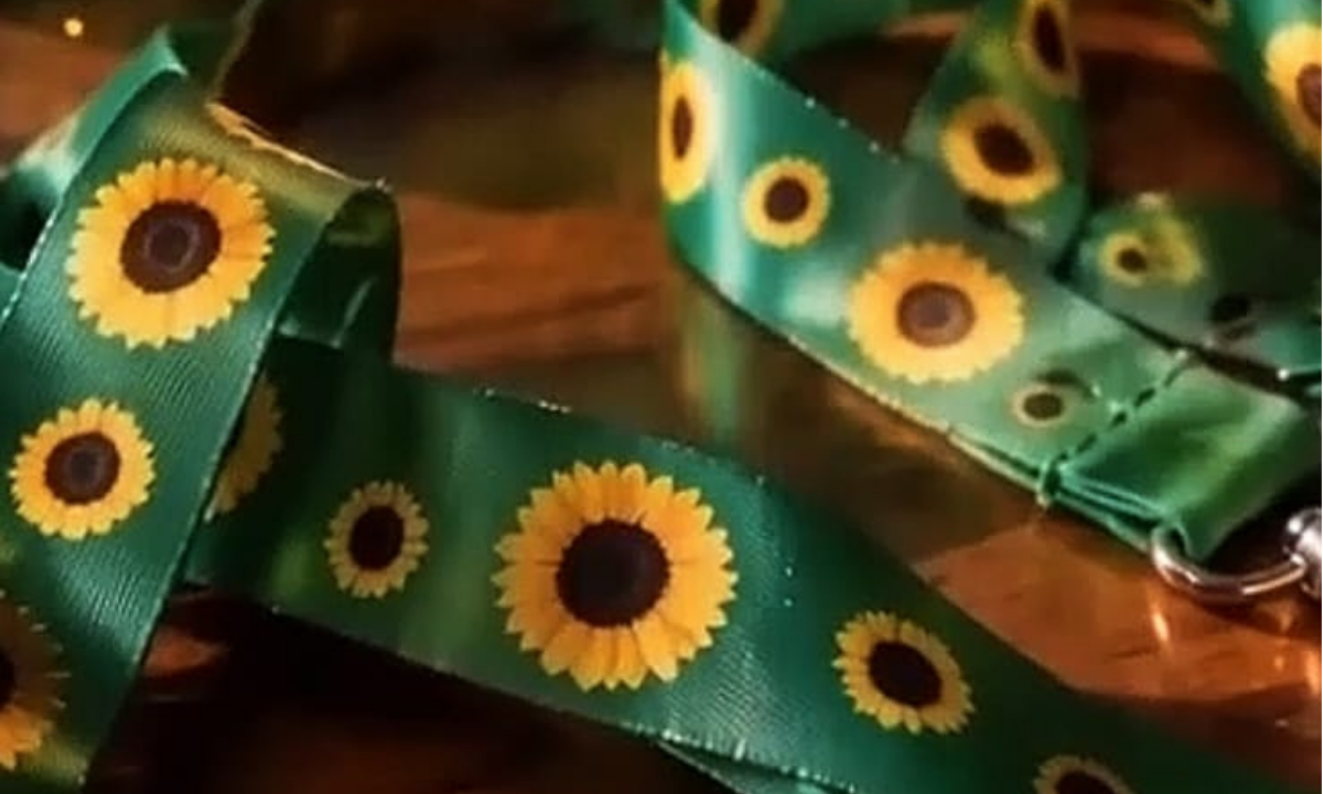 Trelew implementará el uso del cordón verde con girasoles para visibilizar las discapacidades invisibles
