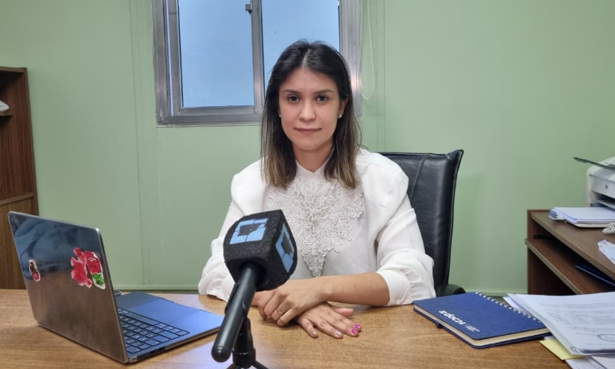 Chubut lanzará una capacitación obligatoria en salud mental para agentes estatales que trabajan en primera línea