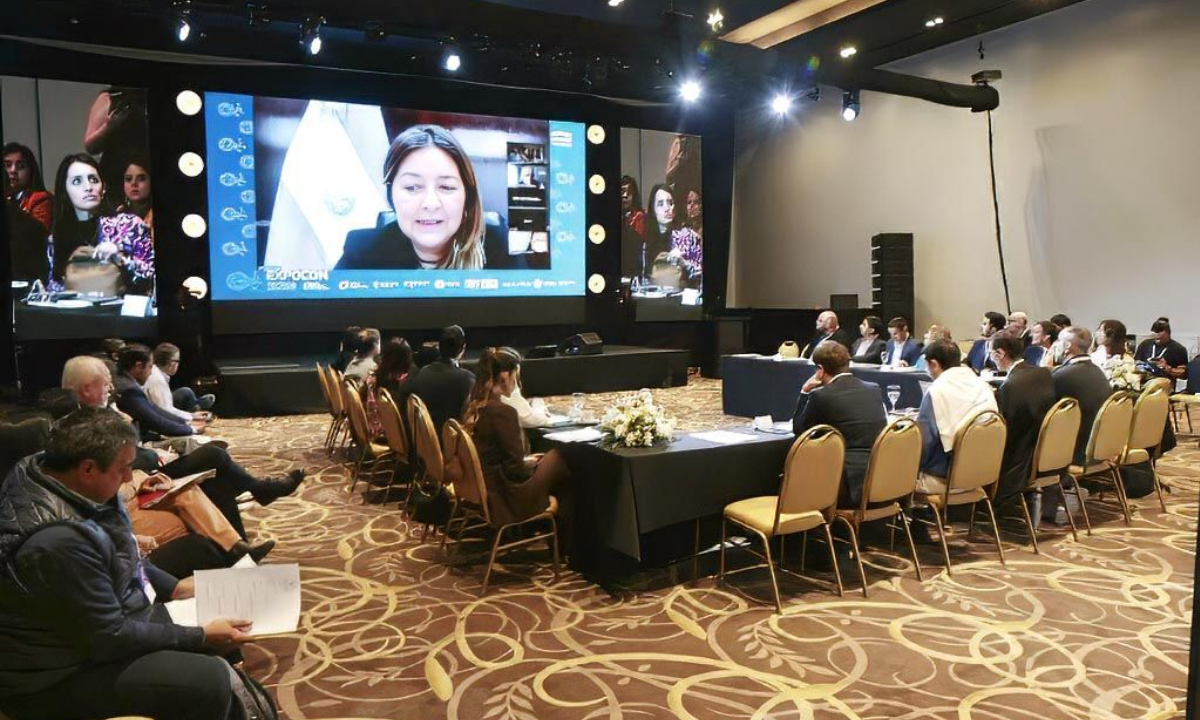 Chubut participó de la reunión del Consejo Federal de la Economía del Conocimiento