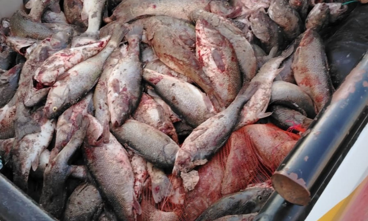 Provincia refuerza los controles de pesca para resguardar los ambientes acuáticos