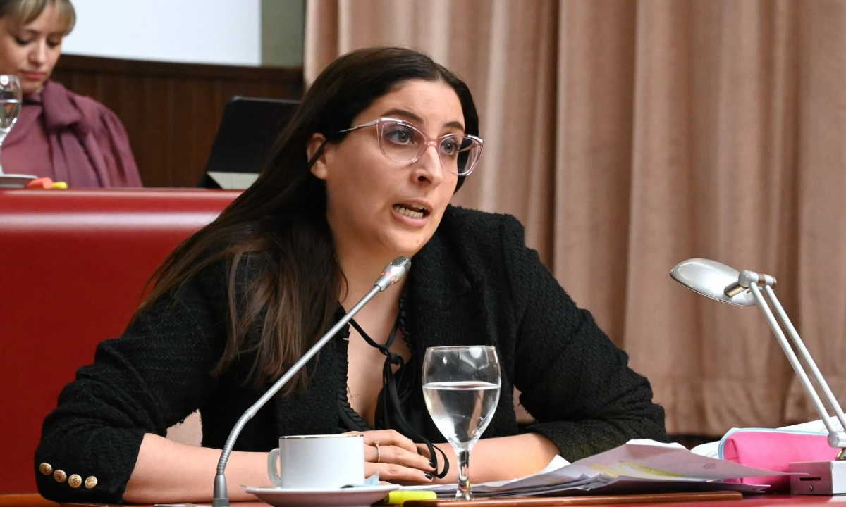 Buscan que Sarmiento reciba el 70% de los ingresos por entradas al área protegida
