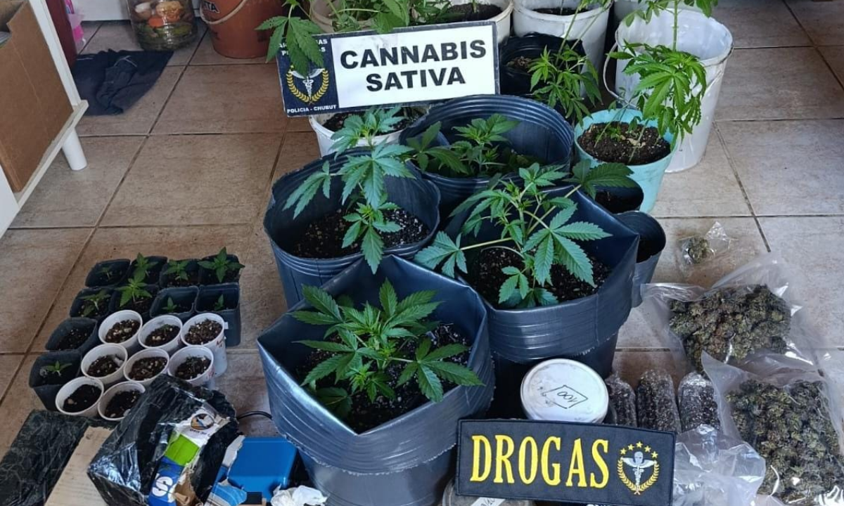 Esquel: desarticularon un punto de venta de drogas y secuestraron cannabis