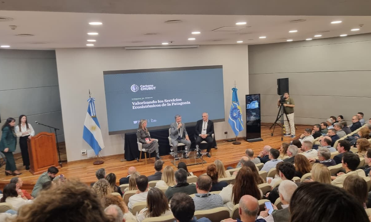 Chubut reúne a distintos sectores para avanzar en el desarrollo del mercado de carbono