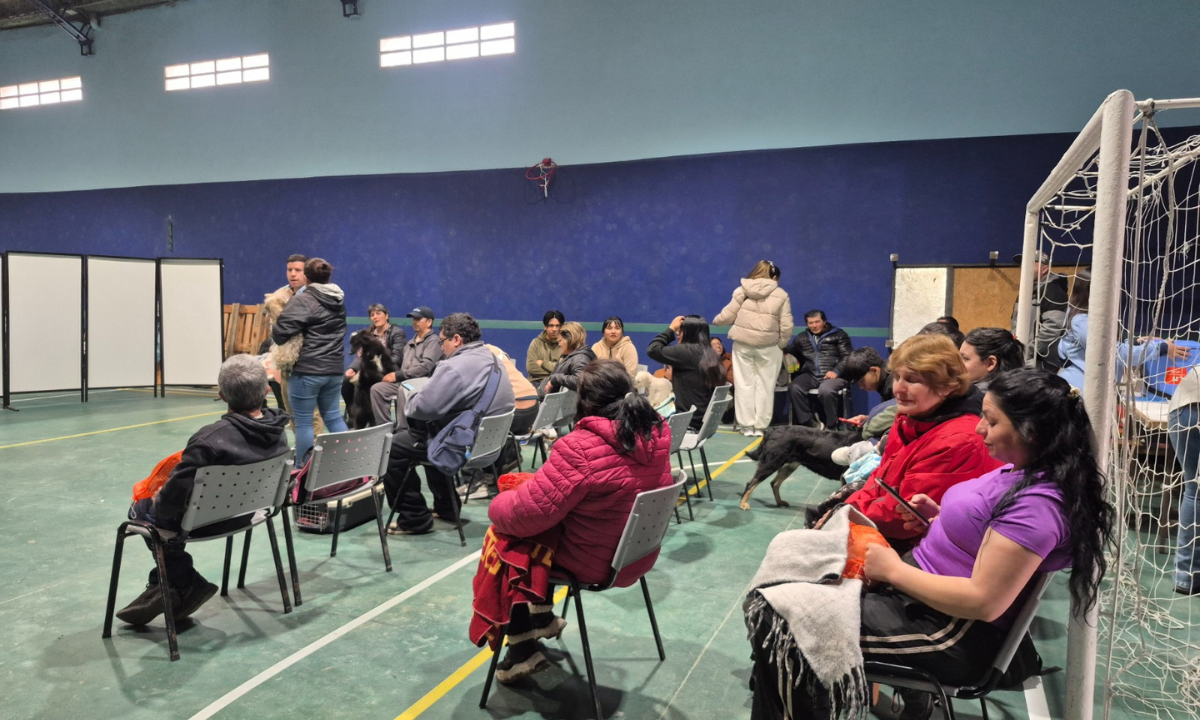 Con más de 300 intervenciones, Chubut realizó una jornada de sanidad animal en Comodoro