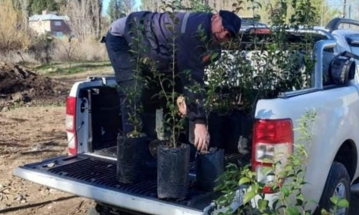 Trabajo conjunto para seguir sumando espacios verdes
