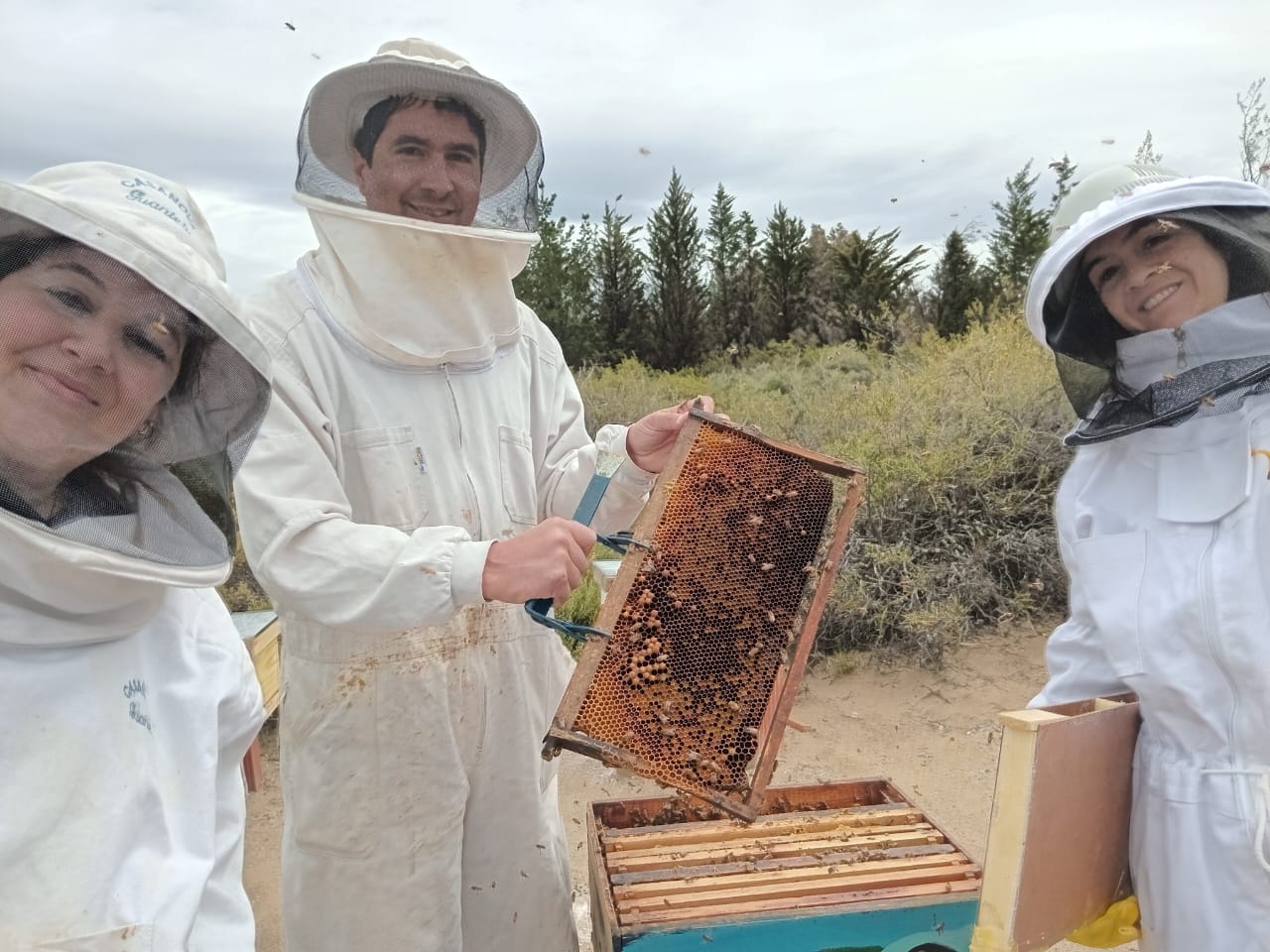 Comienza la temporada de miel en el Valle entre desafíos productivos y dificultades para vender