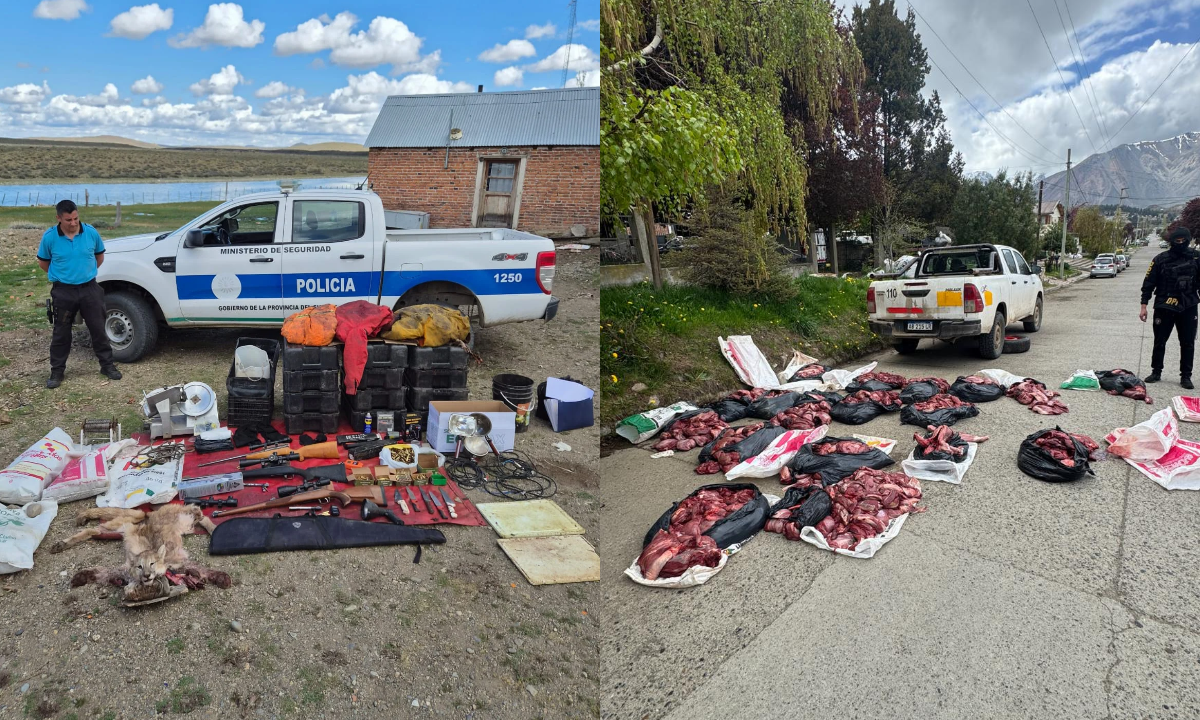 Esquel: secuestraron más de 600 kilos de carne de guanaco en mal estado y allanaron un campo