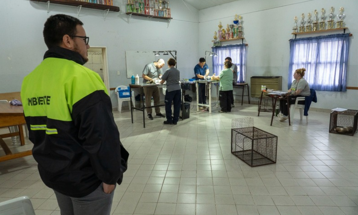 Veterinaria de Rawson concretó jornadas de castración gratuita y prepara la inauguración del quirófano móvil en el puerto