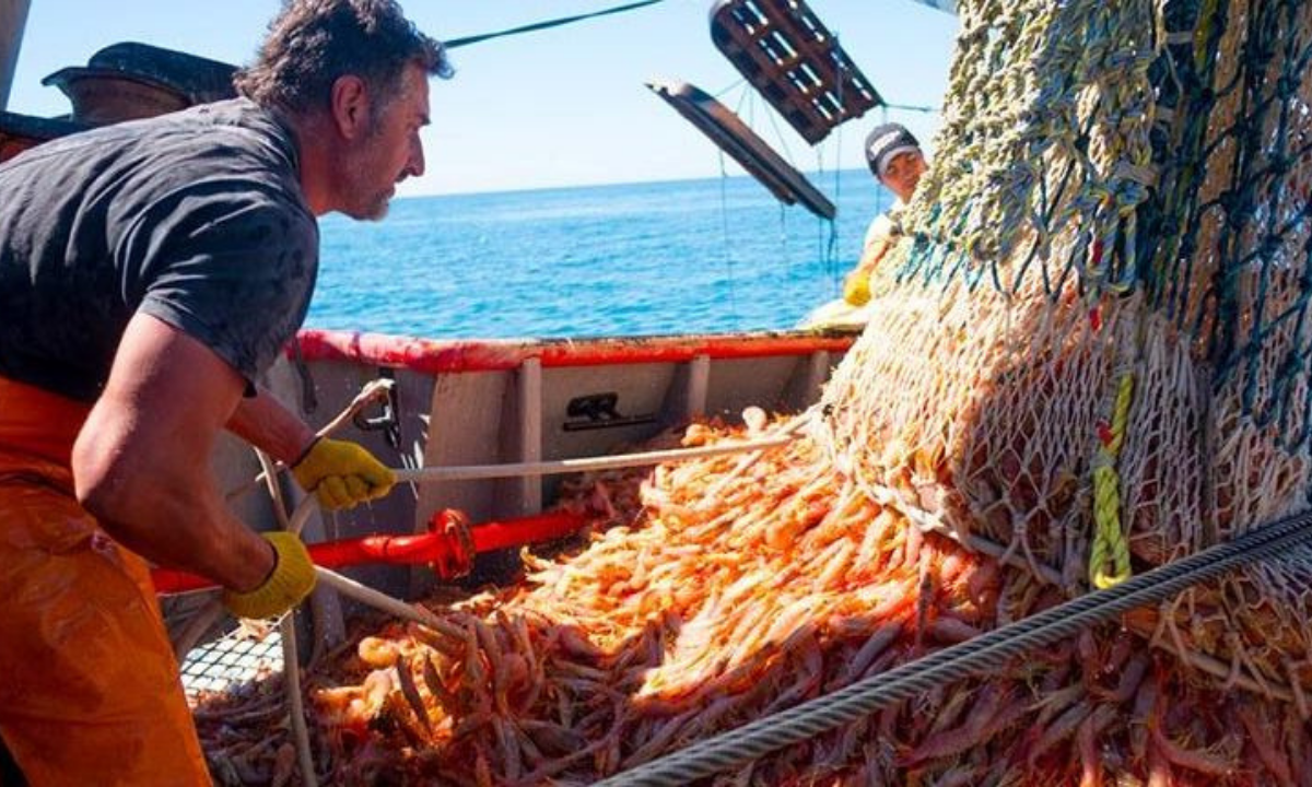 El sindicato de marineros acordó salarios y deja todo listo para que comience la temporada