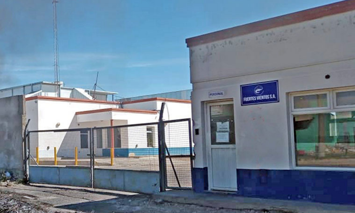 Planta pesquera comenzó el procesamiento de merluza tras capacitar “de cero” al personal