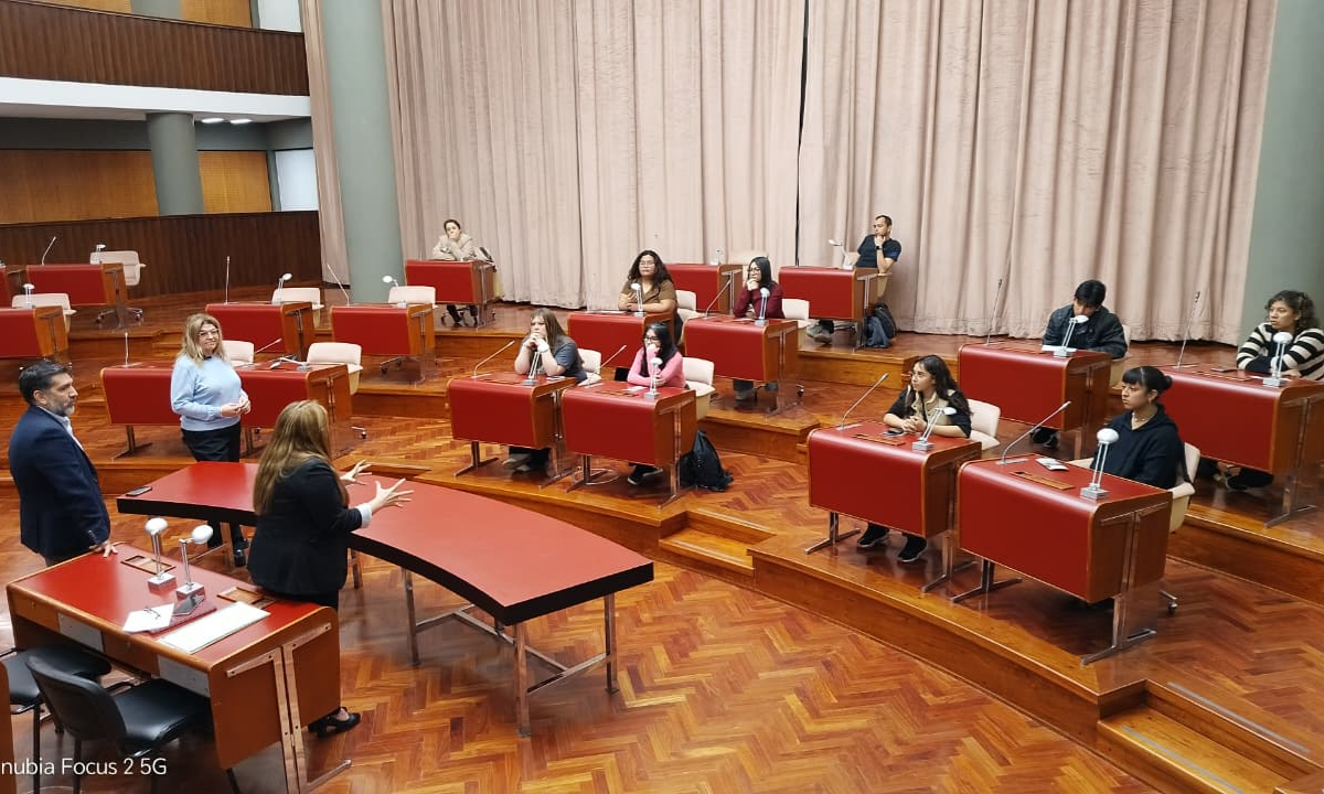 Voz Joven: estudiantes de la Escuela 787 presentaron un proyecto sobre salud mental en la Legislatura