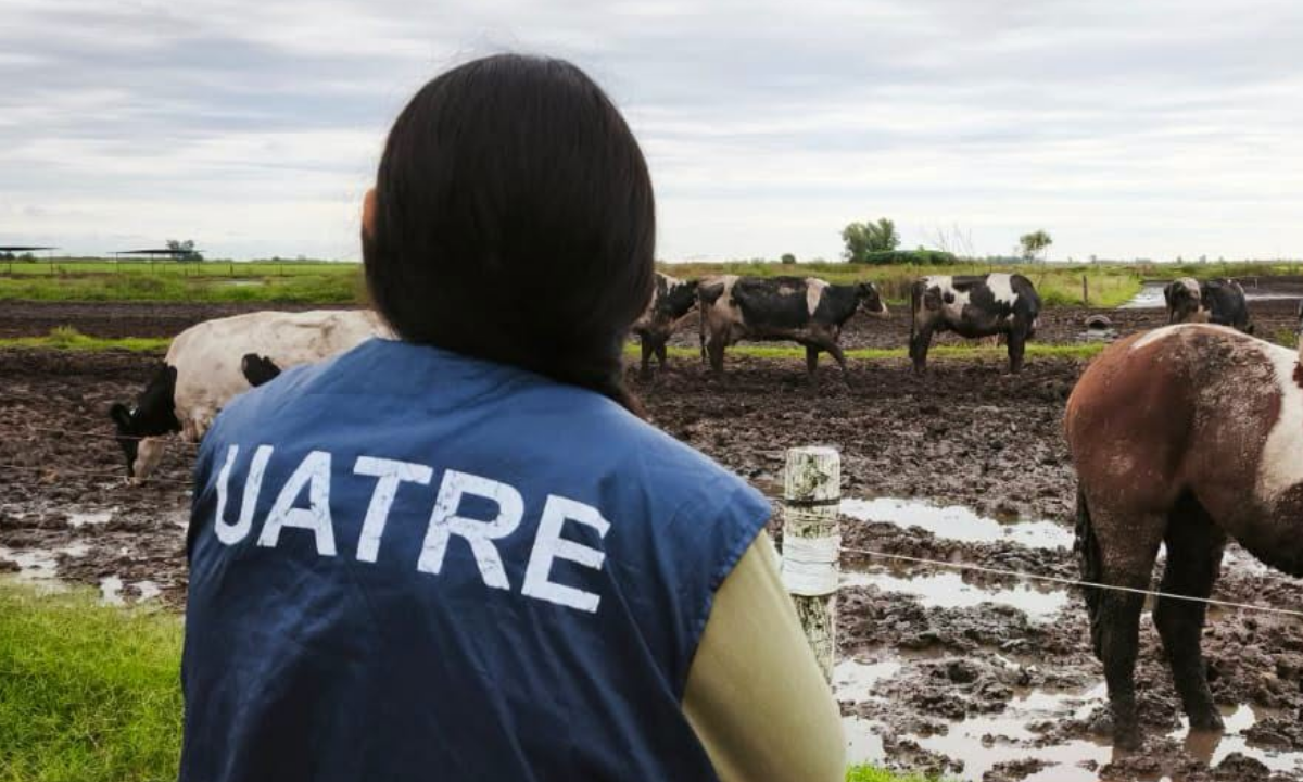 UATRE advirtió por la situación de los trabajadores rurales y reclamó mejores condiciones habitacionales
