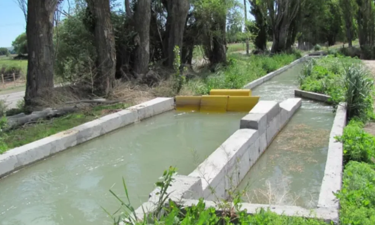Advierten sobre la falta de mantenimiento y la necesidad de mejorar el uso del agua en el VIRCh