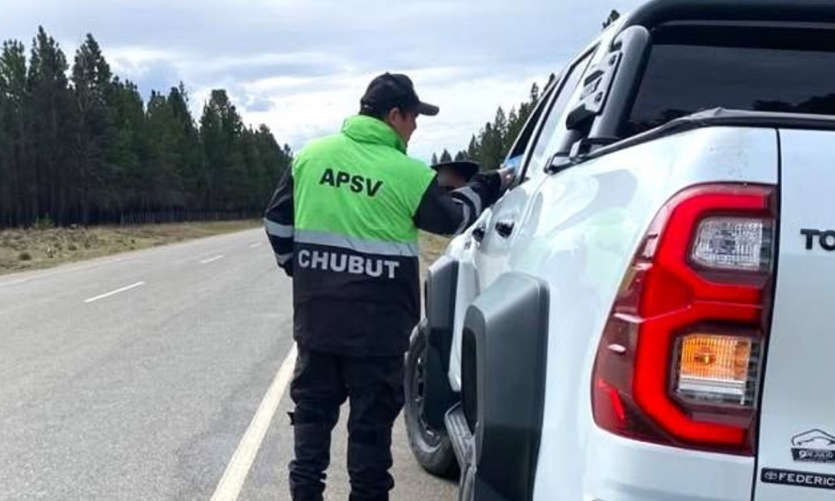 Chubut: detectaron 47 alcoholemias positivas durante el fin de semana largo y retuvieron un camión chileno en Tecka