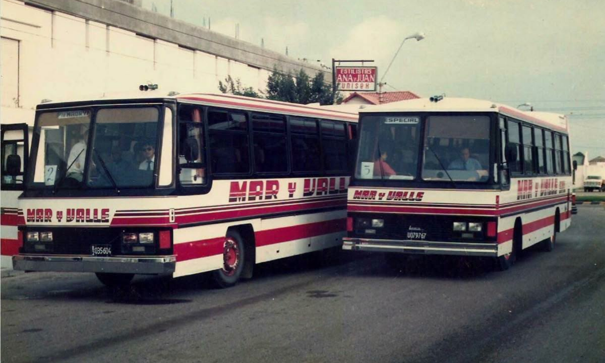 Mar y Valle celebra 50 años de historia y mantiene el desafío de renovar su flota de transporte